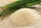 江苏省连云港市各大农场水稻即将收割，品种有苏绣，淮稻，盐粳，